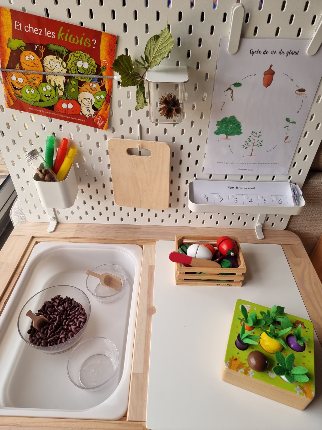 Table d&rsquo;activités &laquo;&nbsp;les fruits et légumes&nbsp;&raquo;